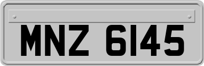MNZ6145