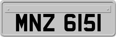 MNZ6151