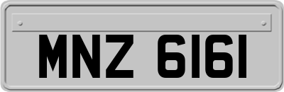MNZ6161
