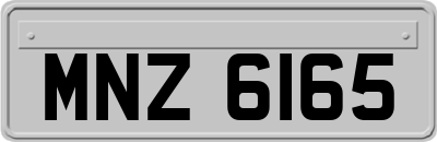 MNZ6165