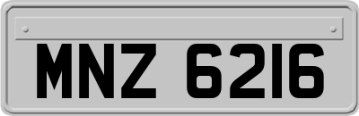 MNZ6216