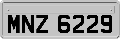 MNZ6229