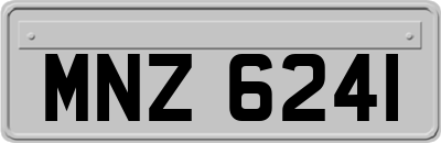 MNZ6241