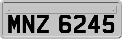 MNZ6245