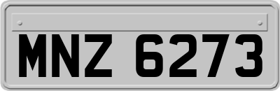 MNZ6273