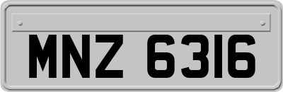 MNZ6316