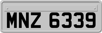 MNZ6339