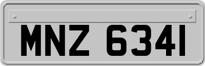 MNZ6341
