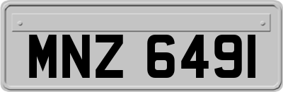 MNZ6491
