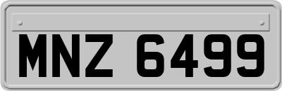 MNZ6499
