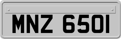 MNZ6501