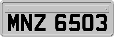 MNZ6503