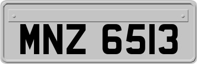 MNZ6513
