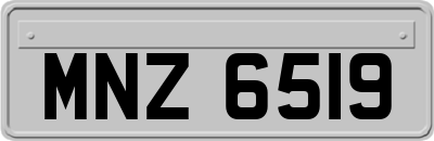 MNZ6519