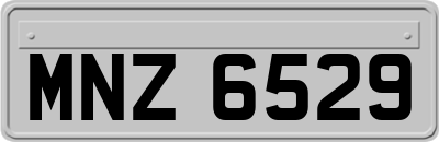 MNZ6529