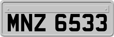 MNZ6533