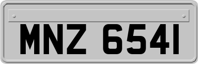 MNZ6541