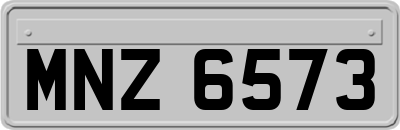 MNZ6573