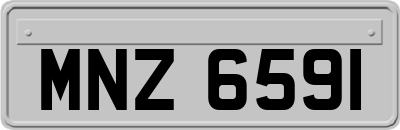 MNZ6591