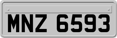 MNZ6593