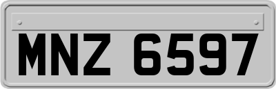 MNZ6597