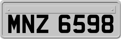 MNZ6598
