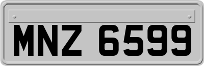 MNZ6599
