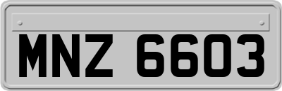 MNZ6603