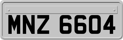 MNZ6604