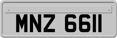 MNZ6611