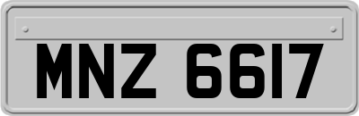 MNZ6617