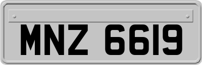 MNZ6619