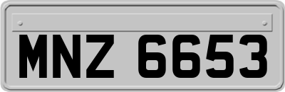 MNZ6653