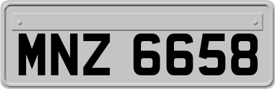 MNZ6658