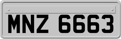 MNZ6663