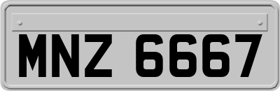 MNZ6667