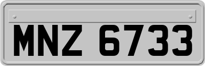 MNZ6733