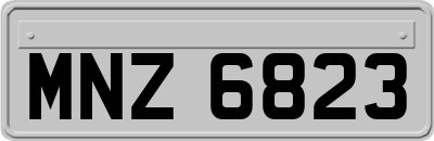 MNZ6823