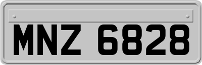 MNZ6828
