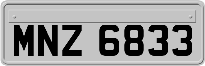 MNZ6833