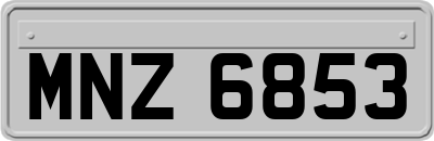 MNZ6853