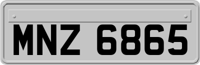 MNZ6865
