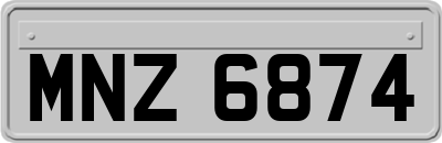MNZ6874