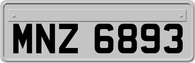 MNZ6893