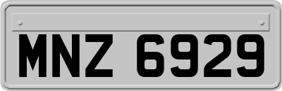 MNZ6929