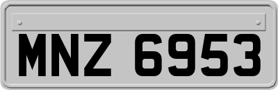 MNZ6953