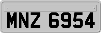 MNZ6954