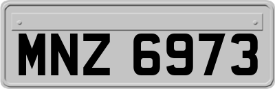 MNZ6973