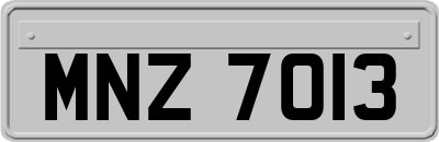 MNZ7013