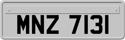 MNZ7131